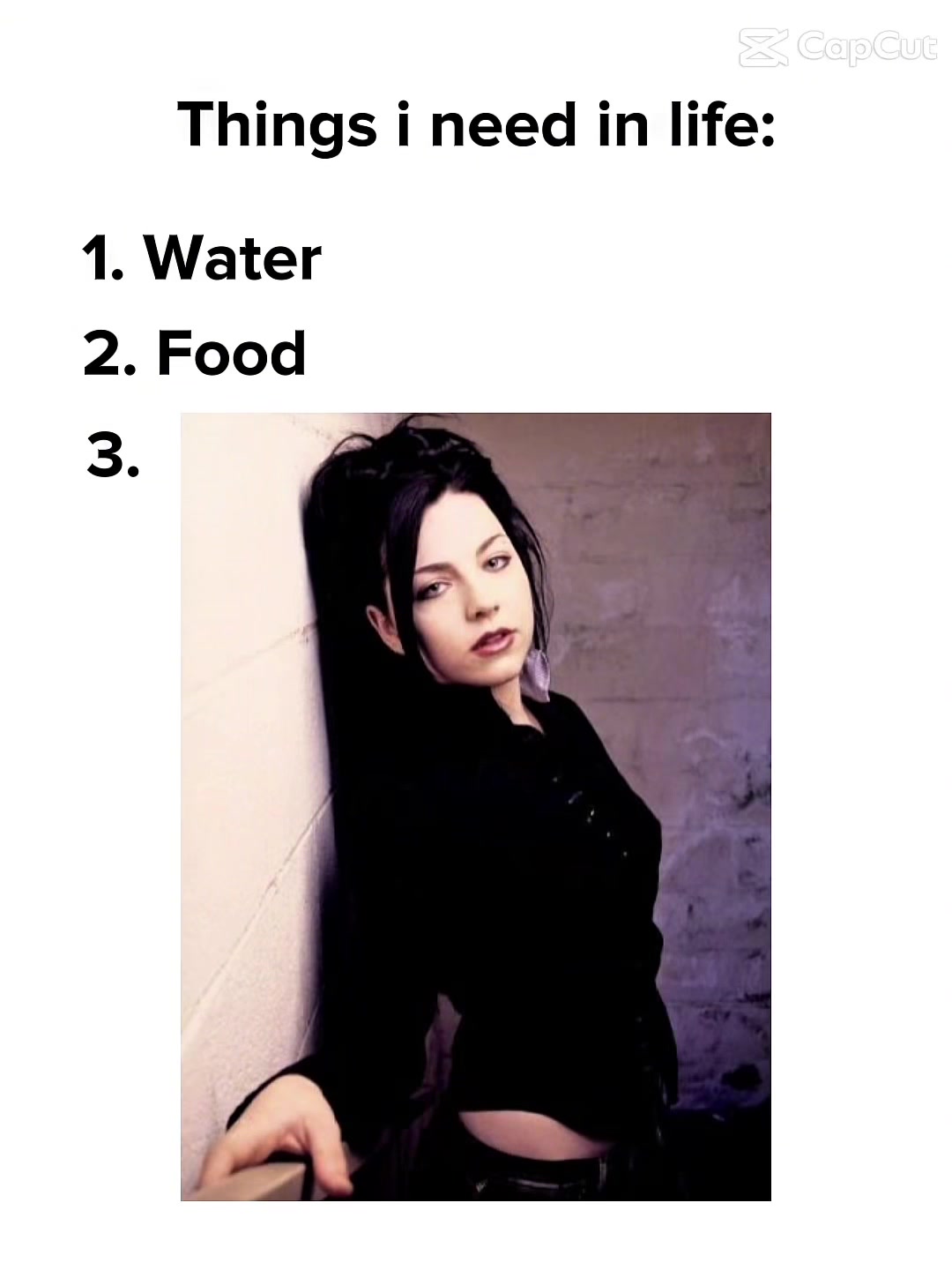 @Amy Lee Universe • Fan Page