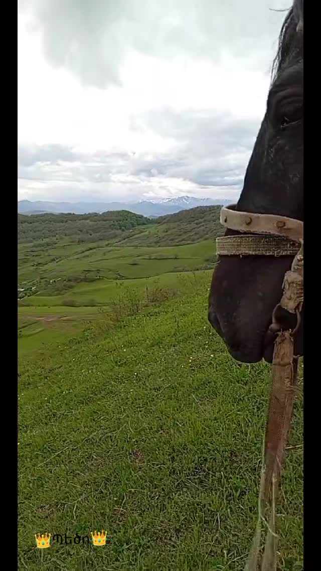 @Վաչե Գևորգյան