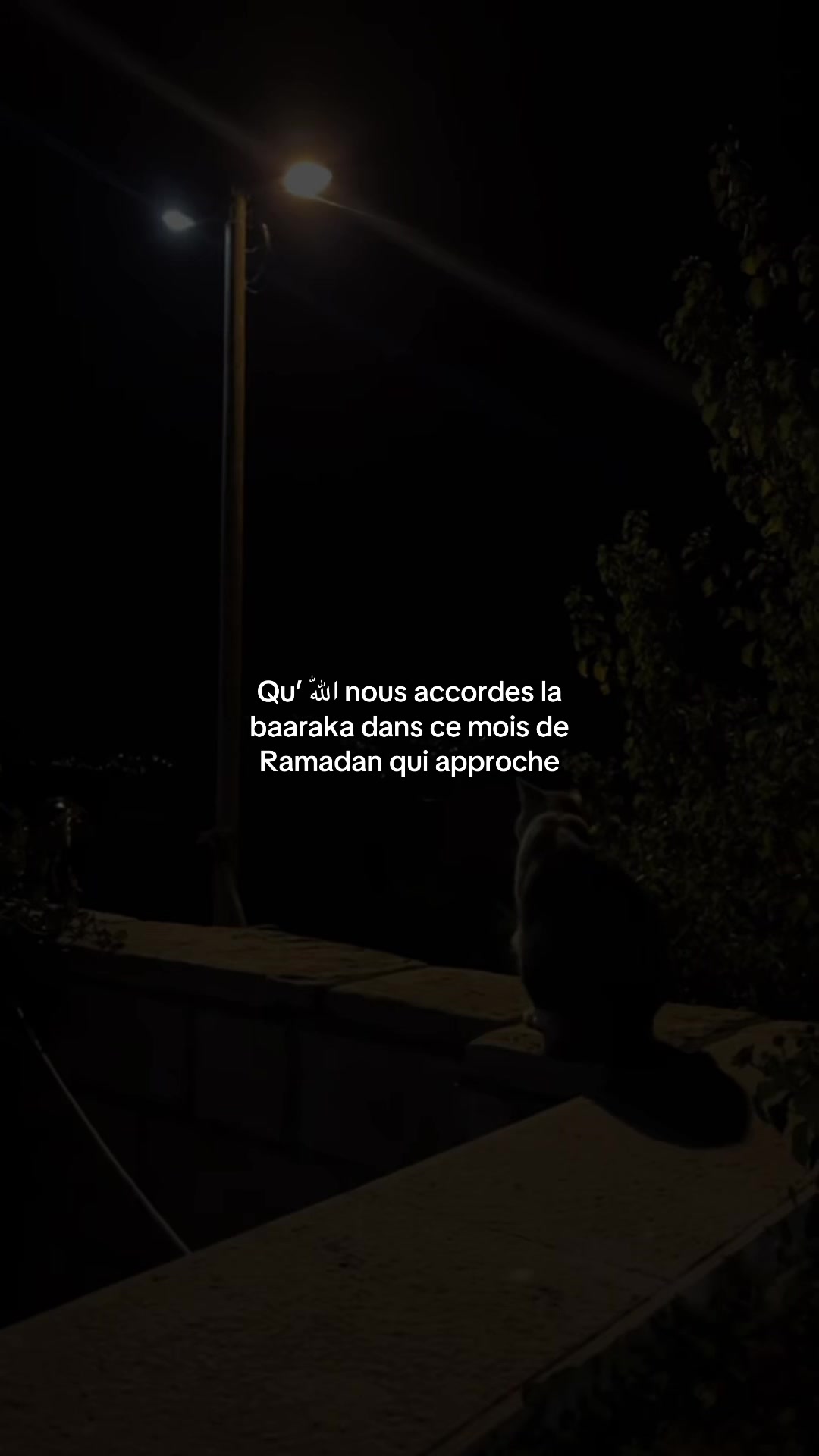 @rappel.islam