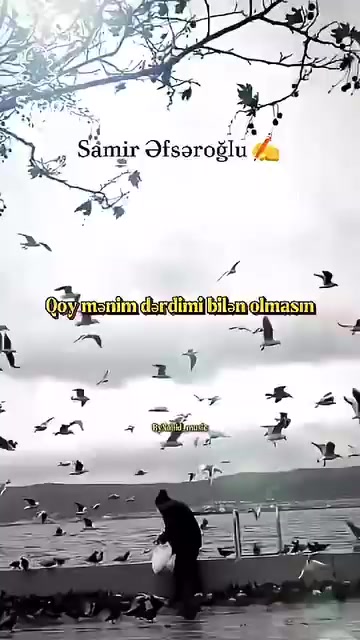 @samir_efseroglu_official