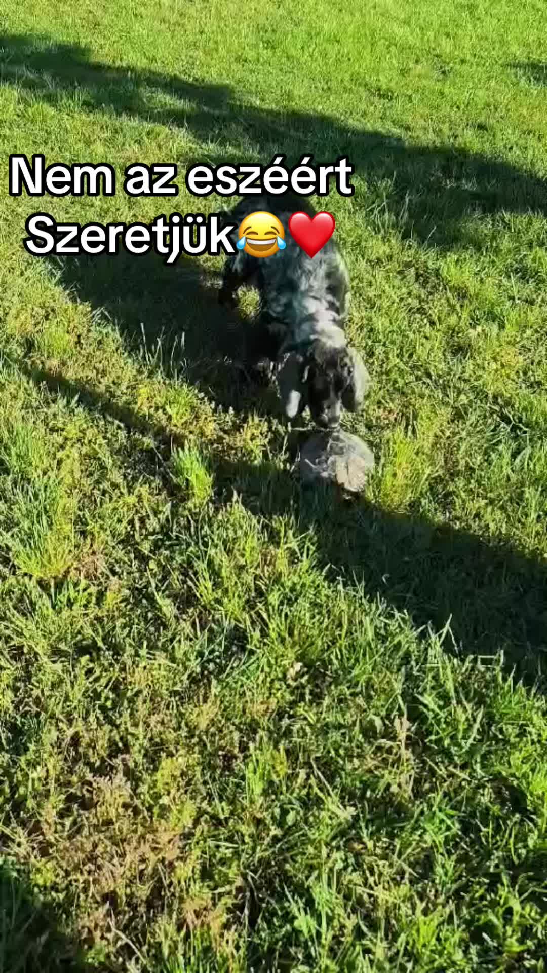 @Szilvia❤️🤍💚