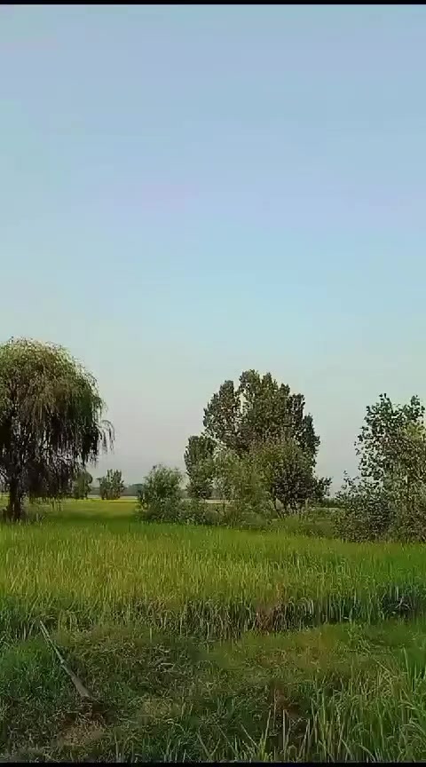 @malaksb0003