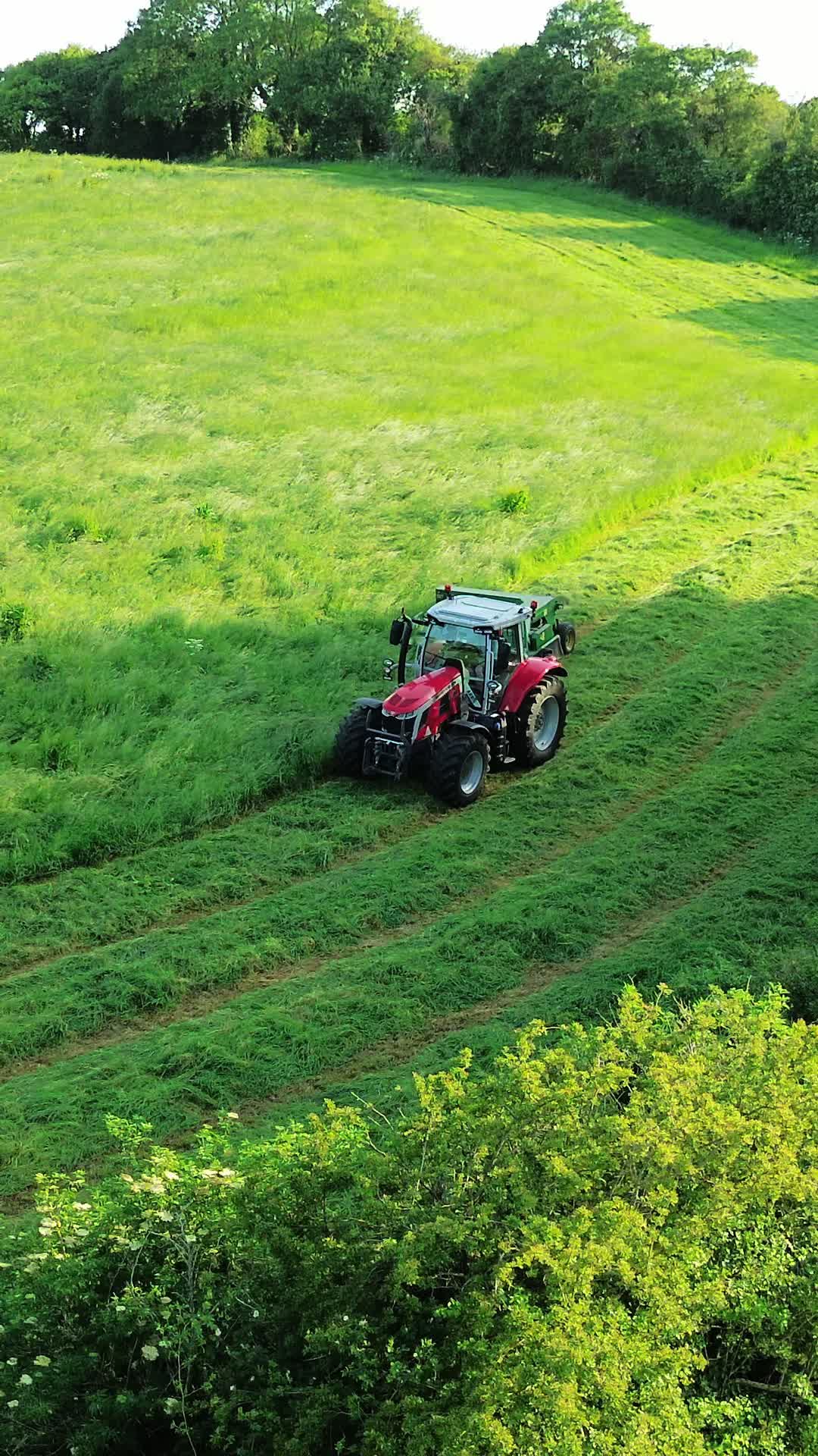 @Wogby 🚜🌾