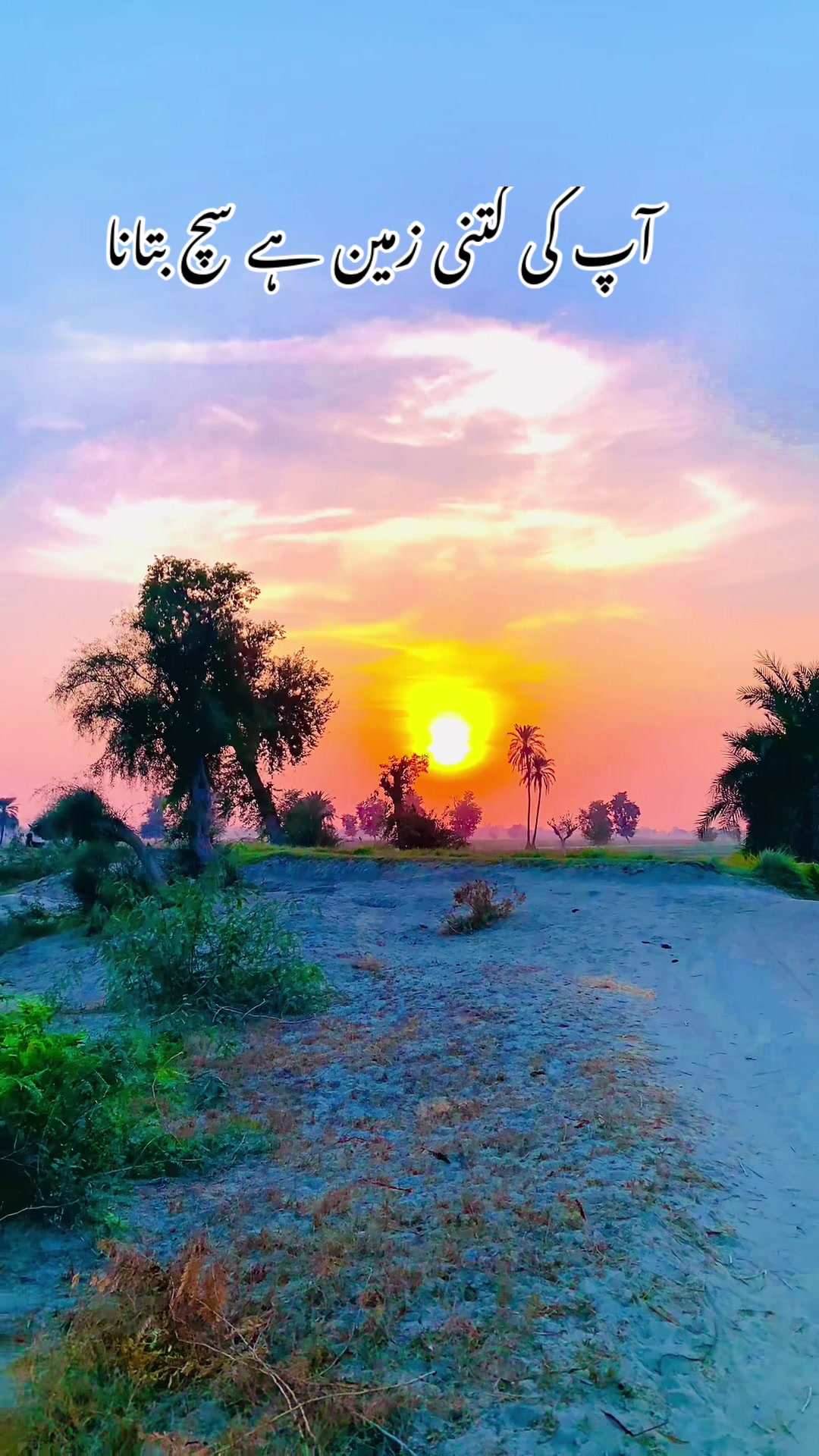 @پنجاب زادہ🌿