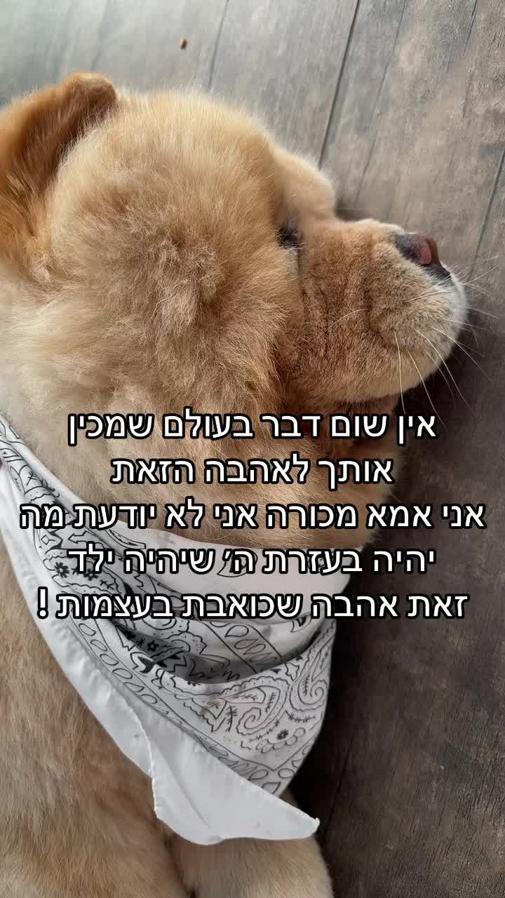 @๐ชฉ๐ธ๐๐ฉถ