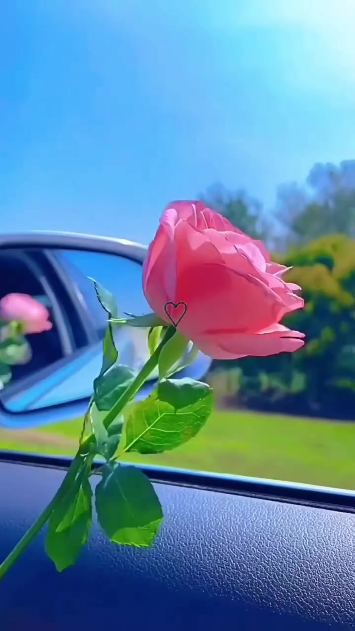 @user12345