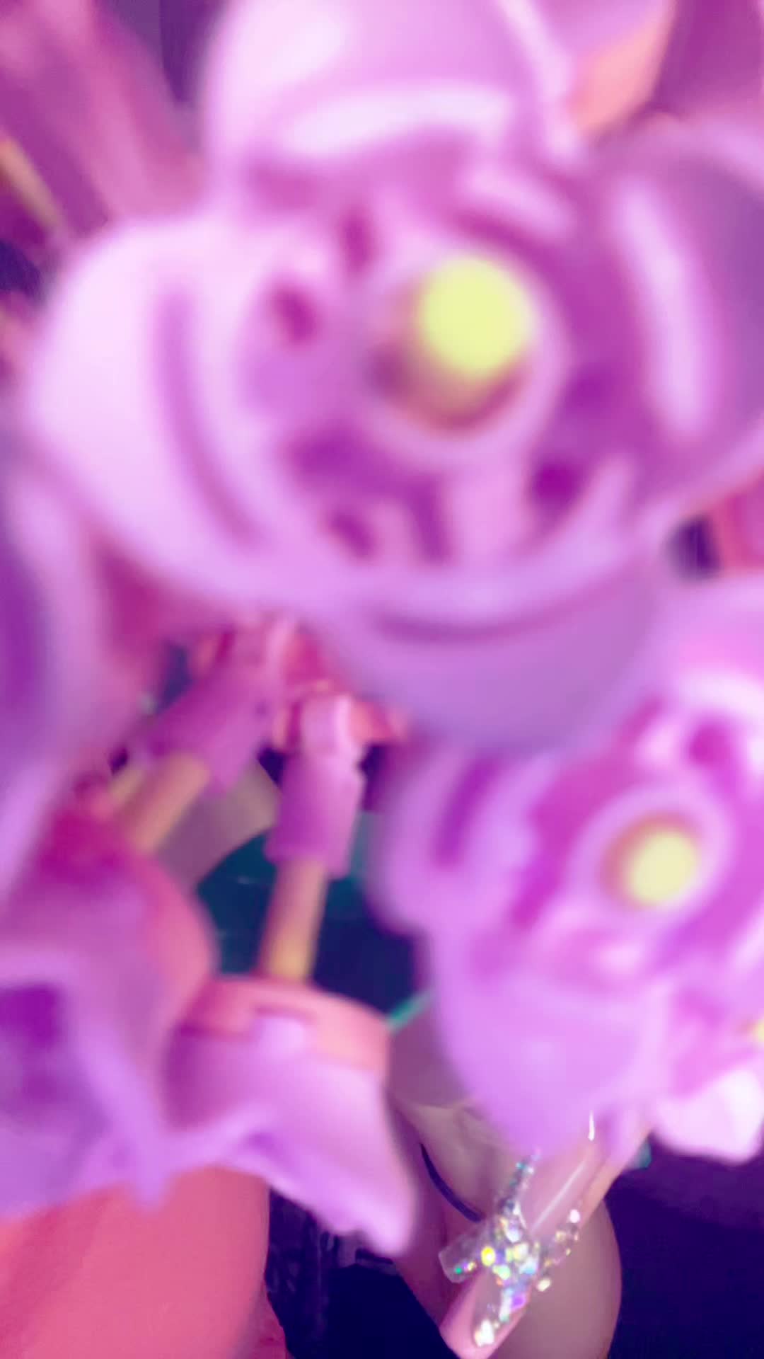 @🍯