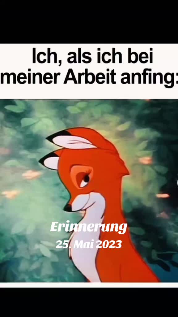 @🦊Rotfüchsin🦊