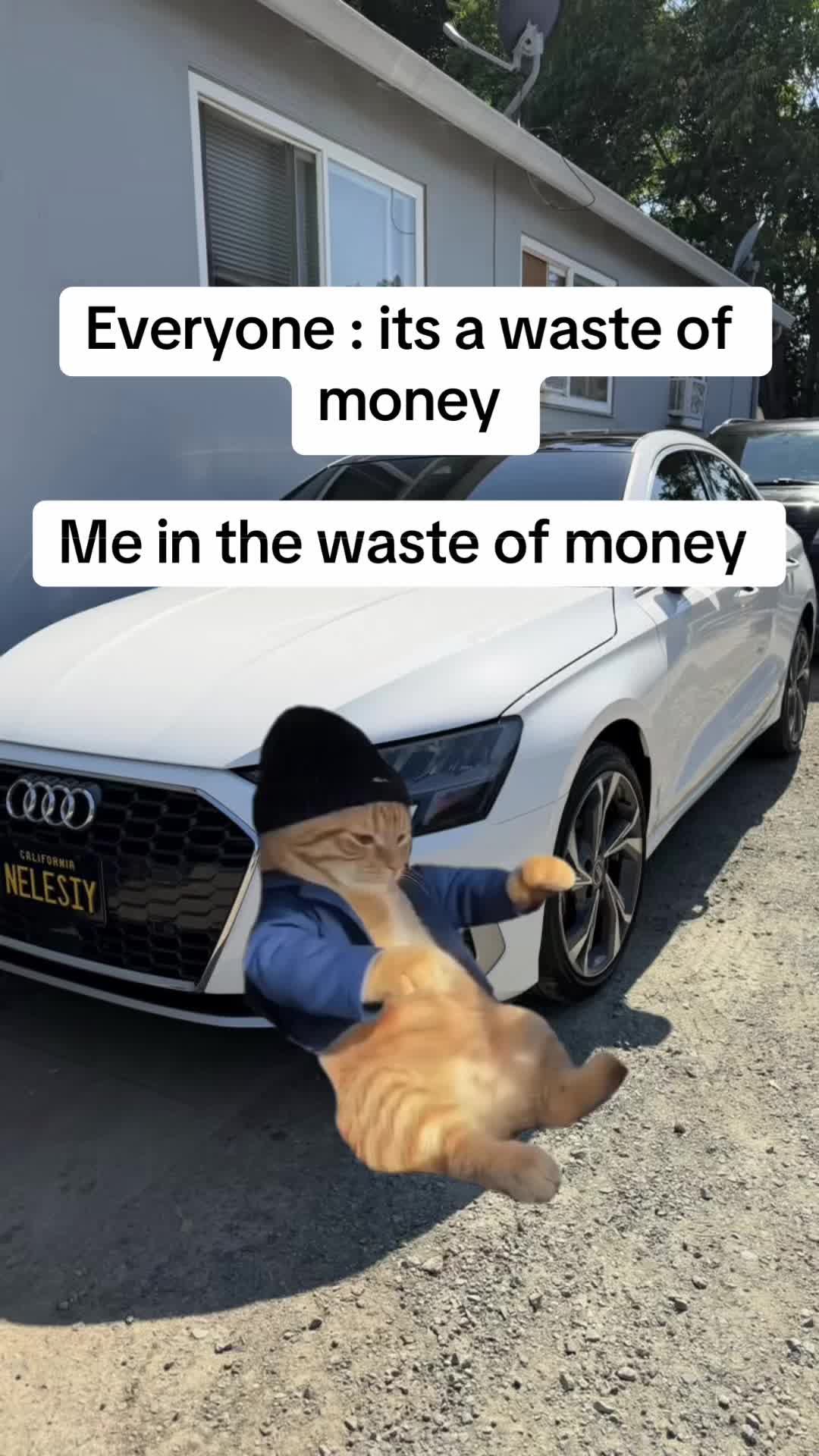 @nelessiy