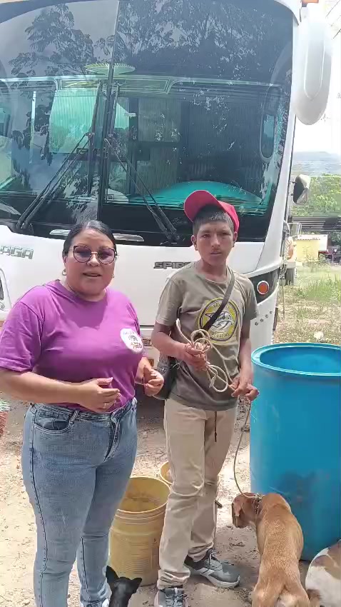 @BelitaPets