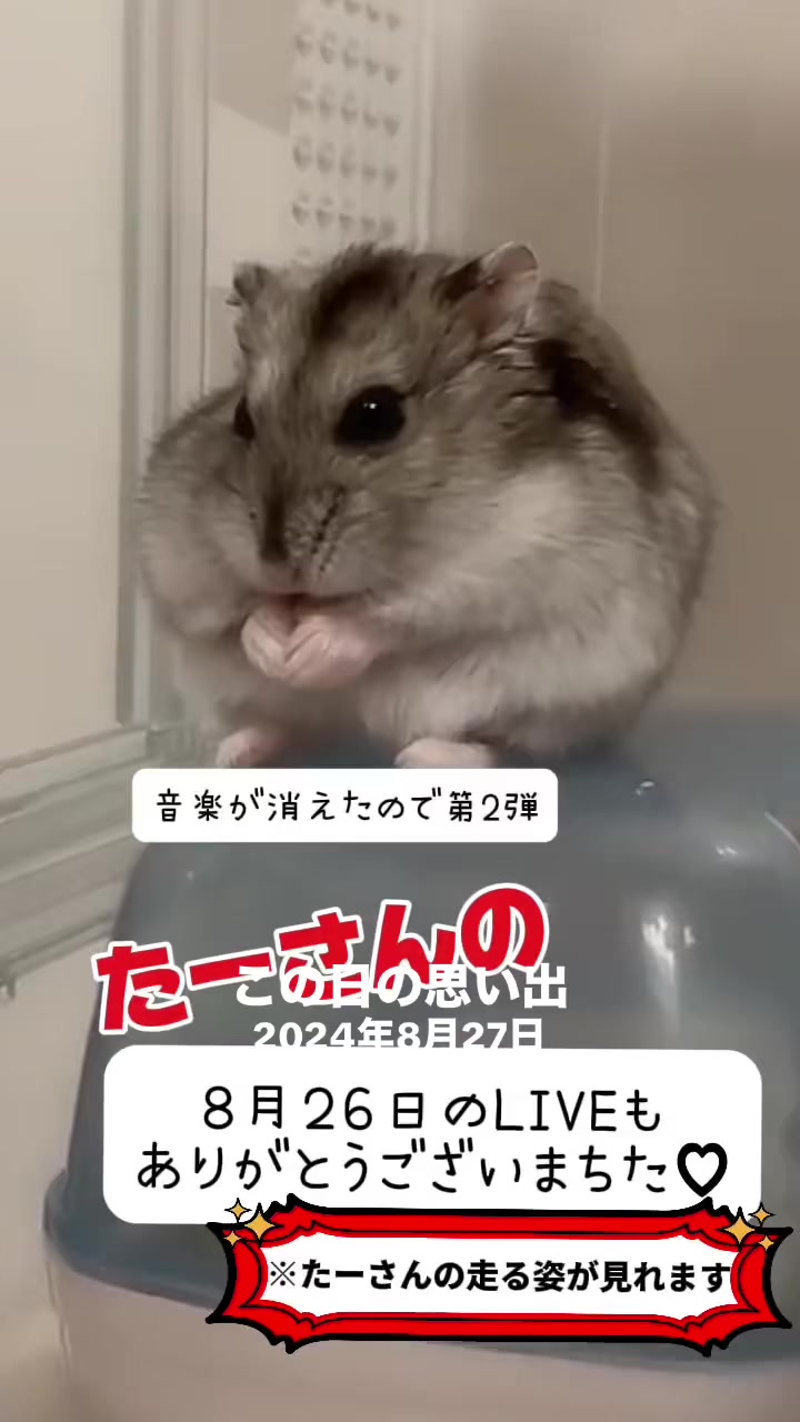 @【鹿児島】cozこず