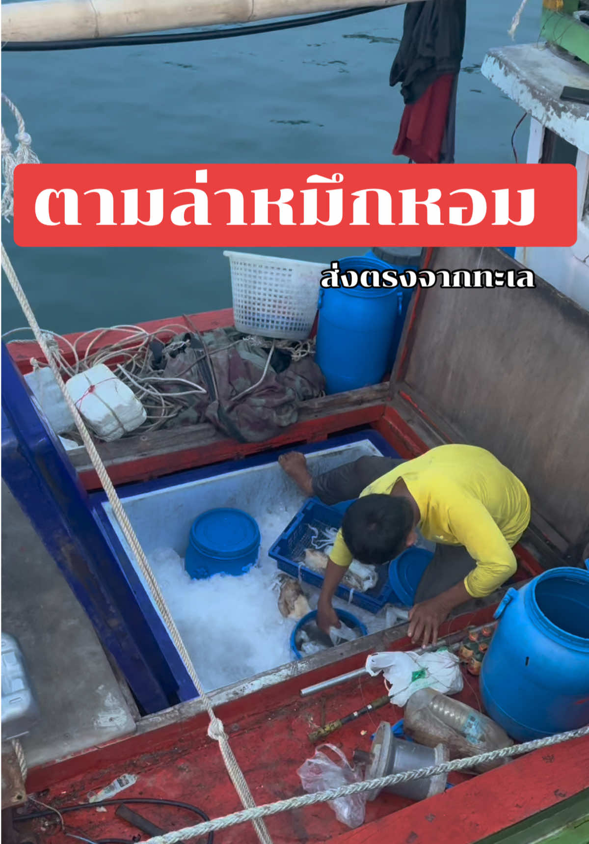 @เจ๊ดาวซีฟู้ดริมเลหาดวอน บางแสน