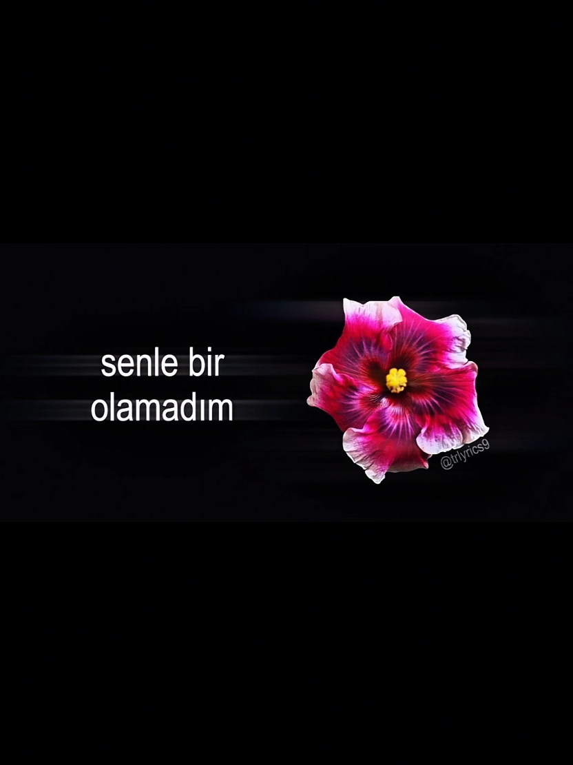 @𝙏𝙍>𝙡𝙮𝙧𝙞𝙘𝙨