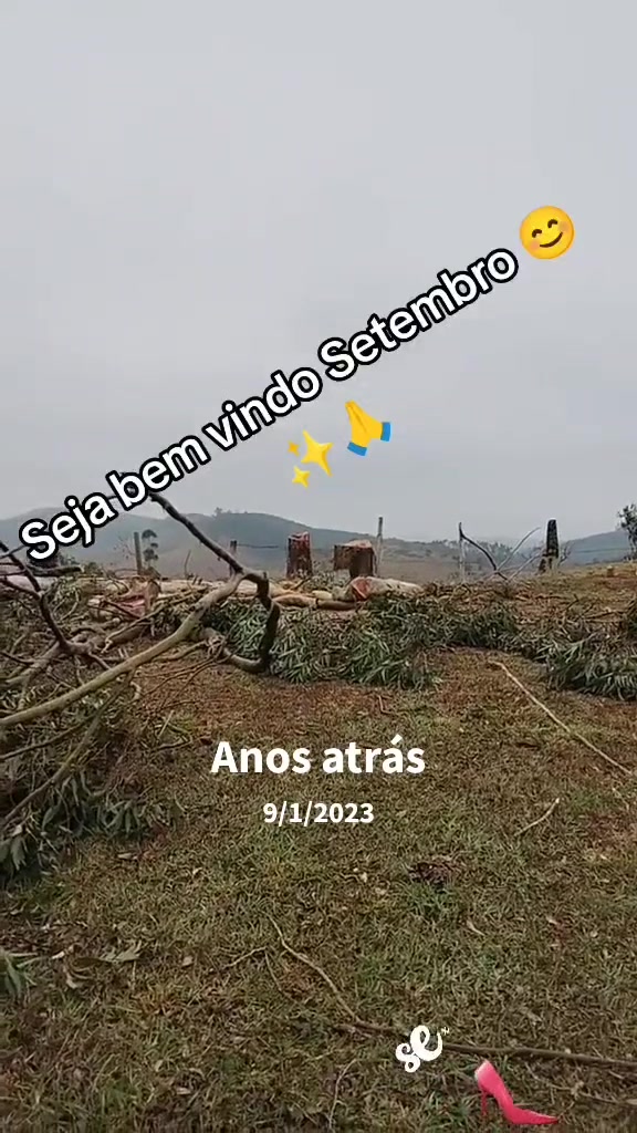 @Silvia Costa🙏❤️🚛
