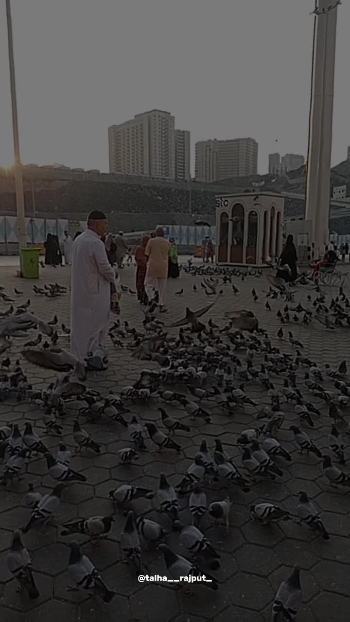 @Talha Saleem