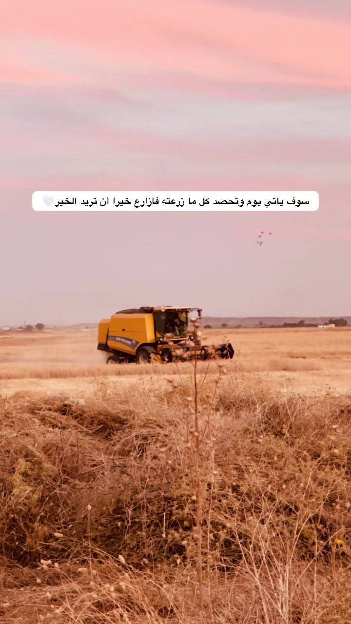 @أنور