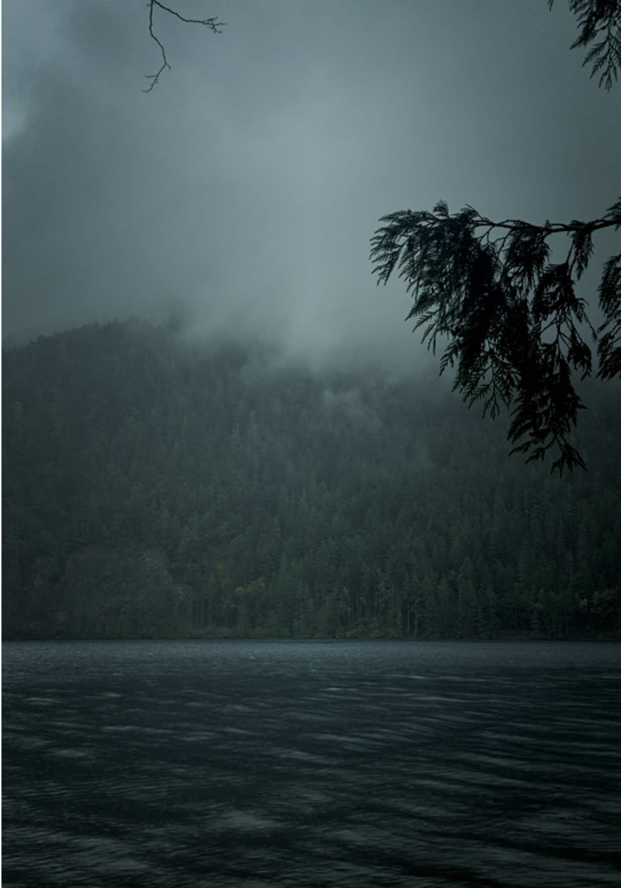 @Jordan PNW Adventures