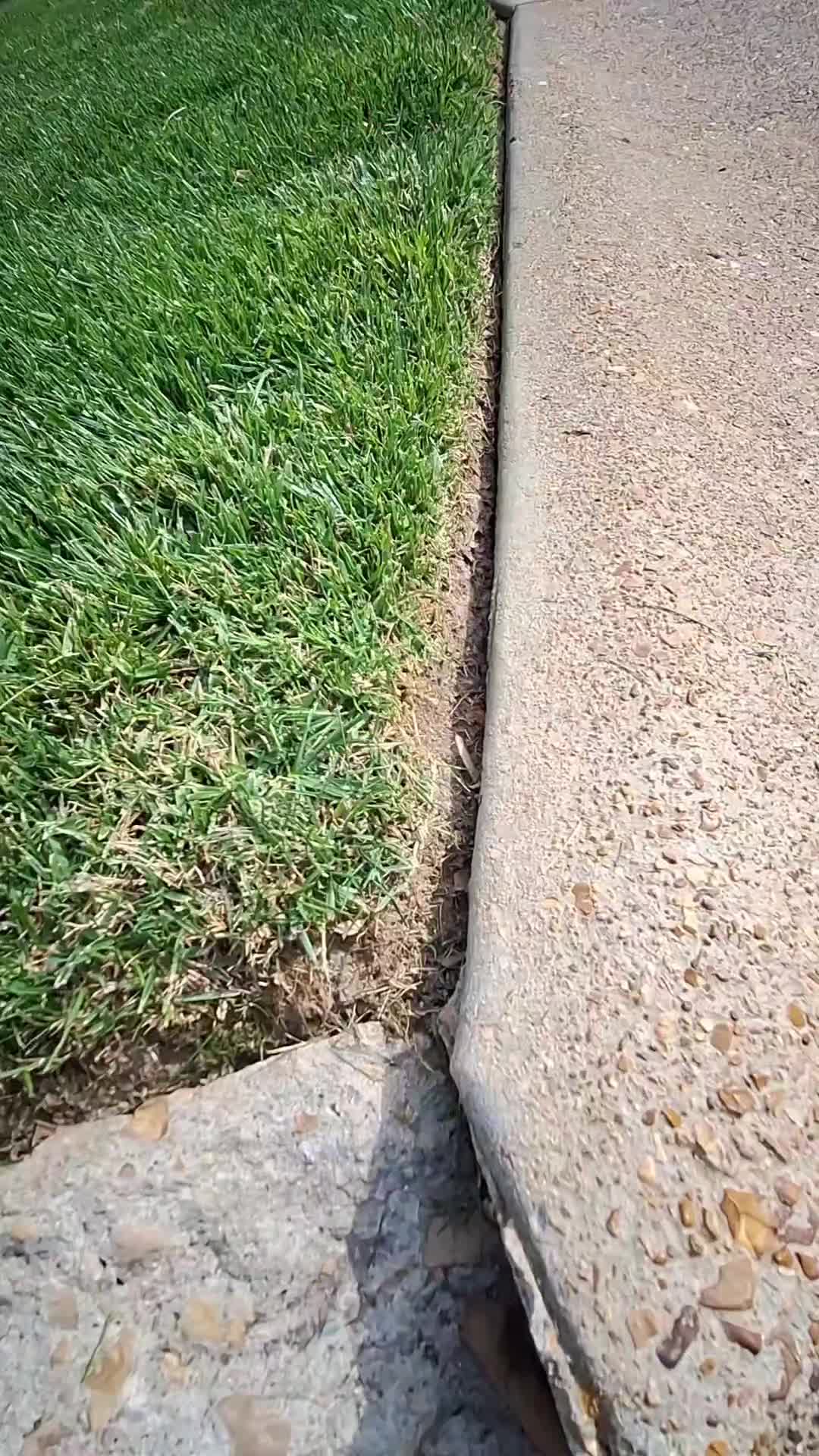 @Stripeleader