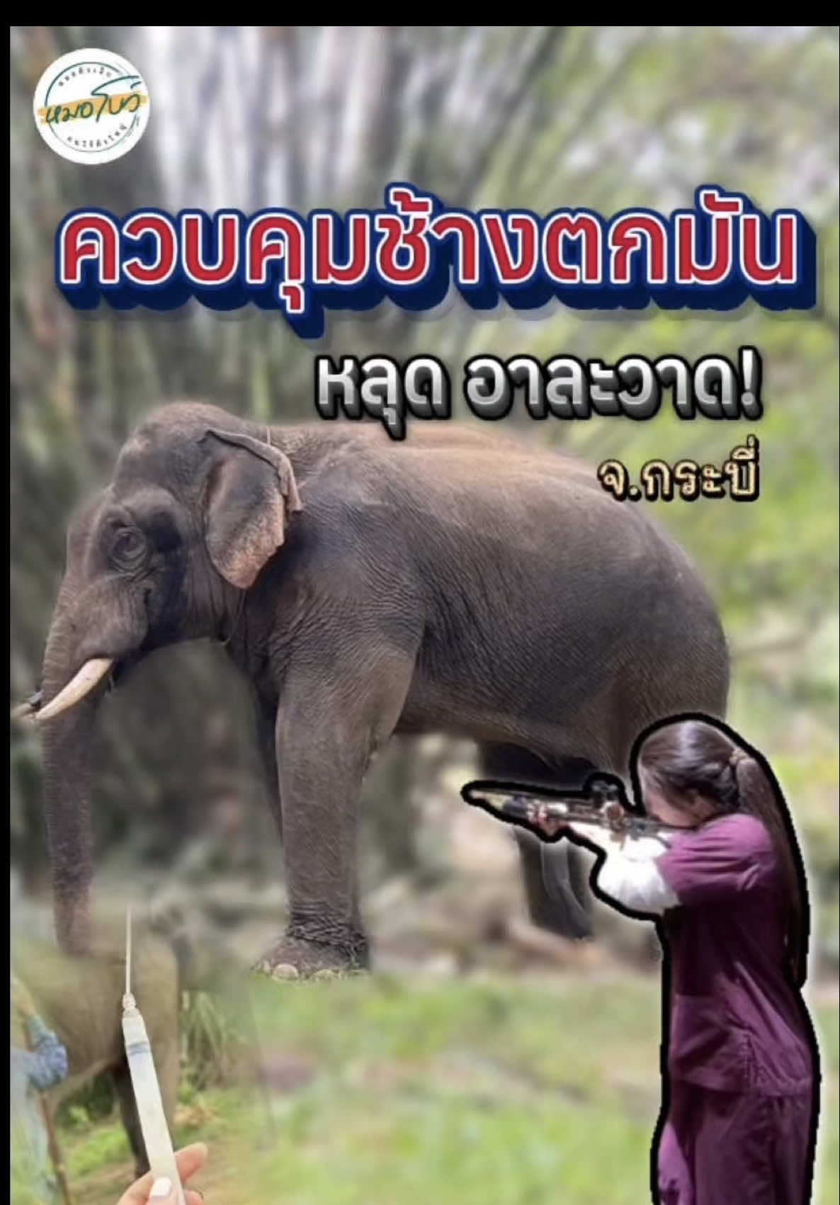 @หมอโบว์ รักษาช้าง