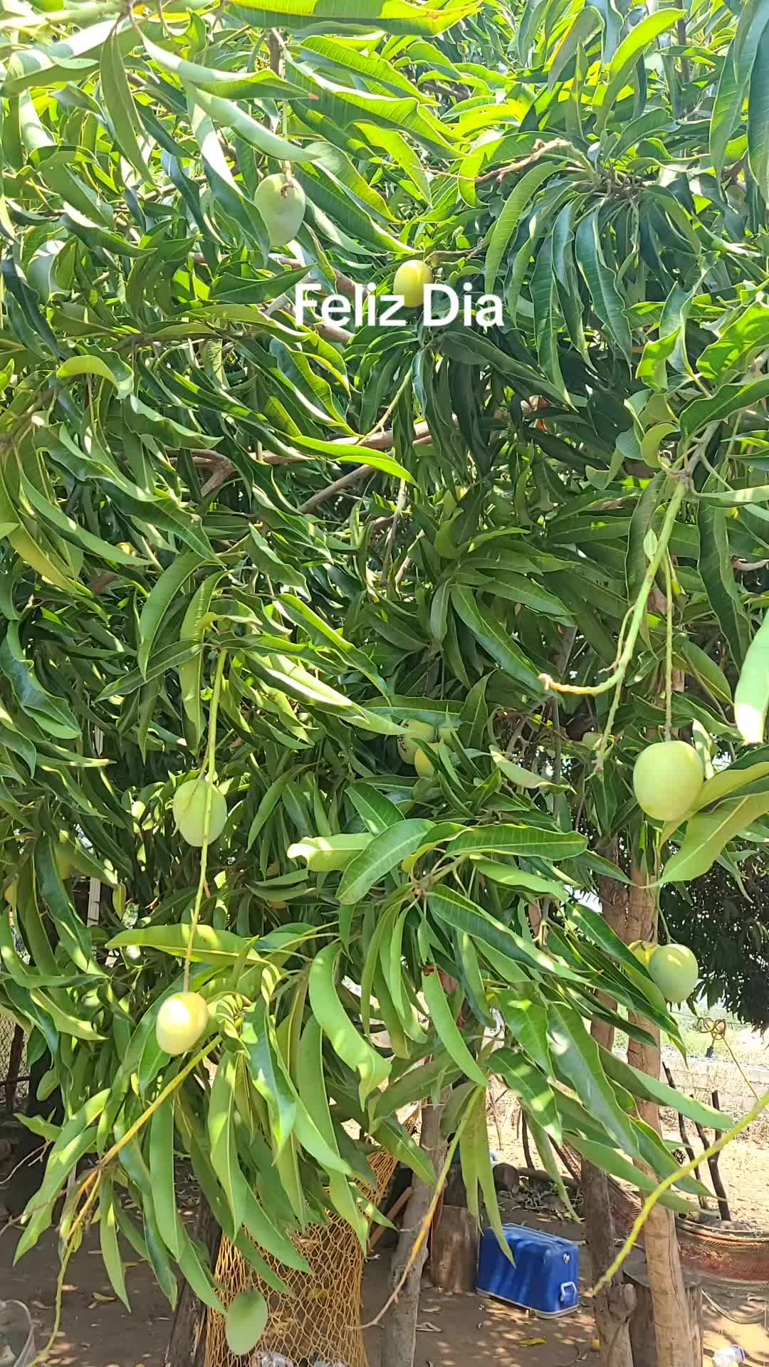 @Salvador @Umanzor