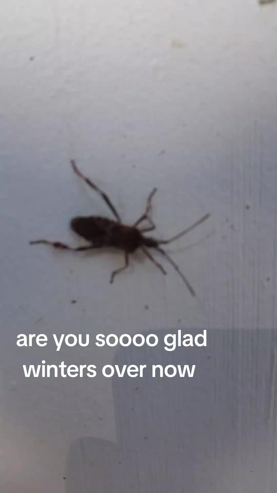 @JasonRick