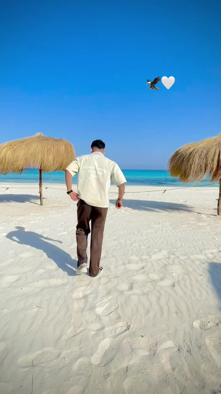 @العلوشي 🐺