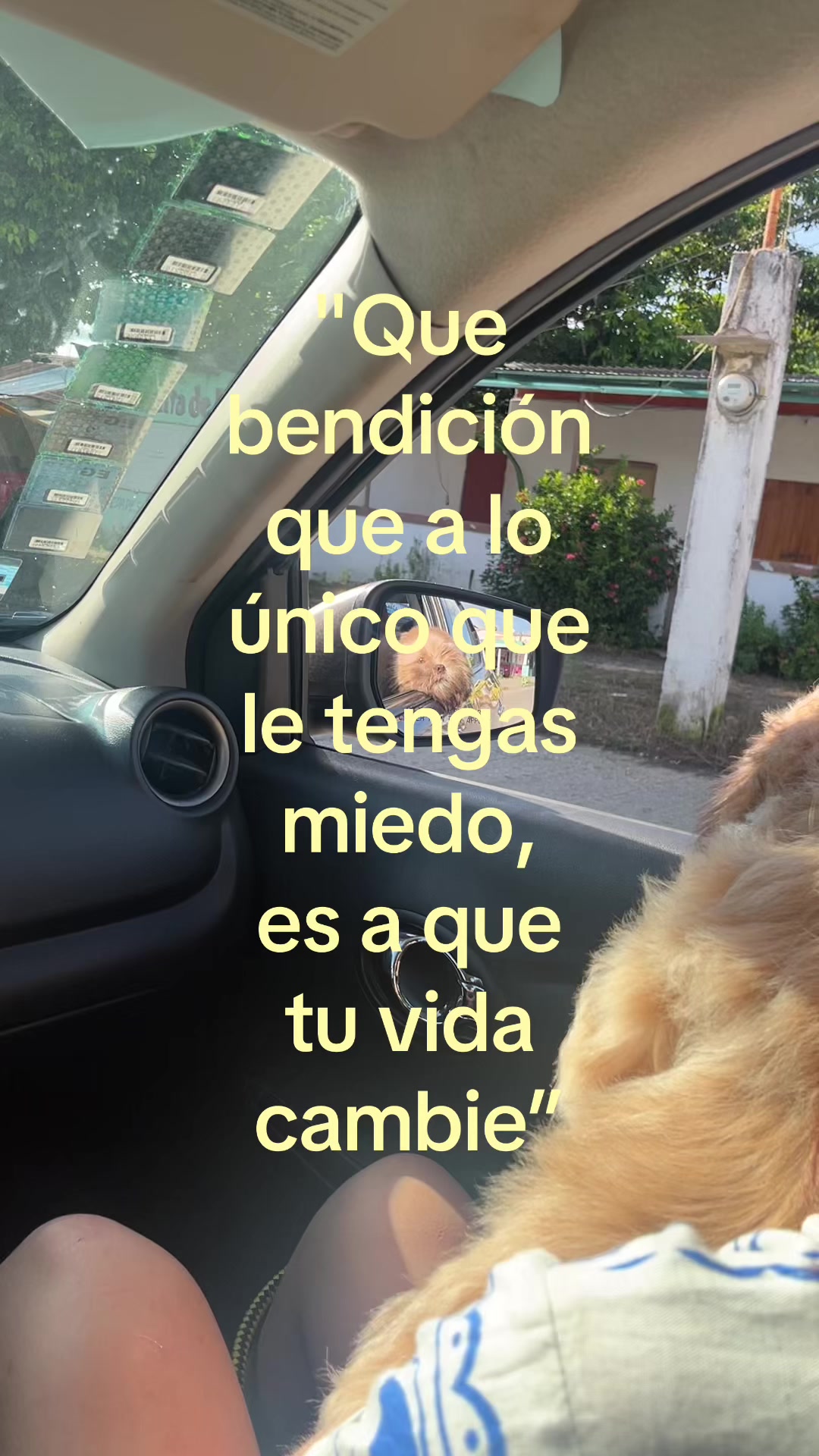 @Caro Montero 🫧