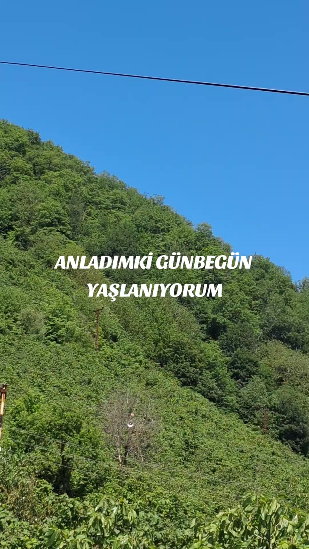 @turgaykuru