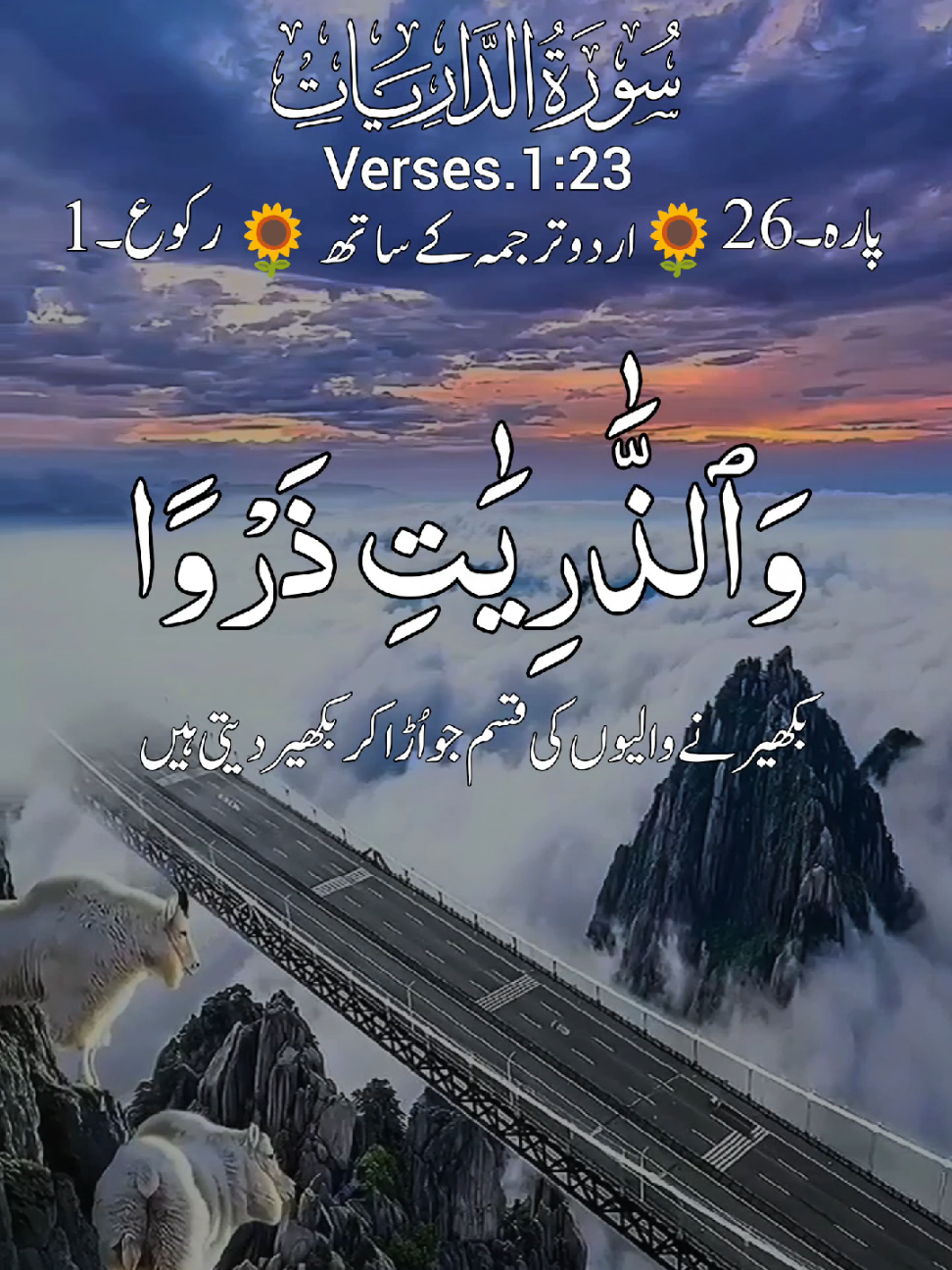 @HOLY QURAN