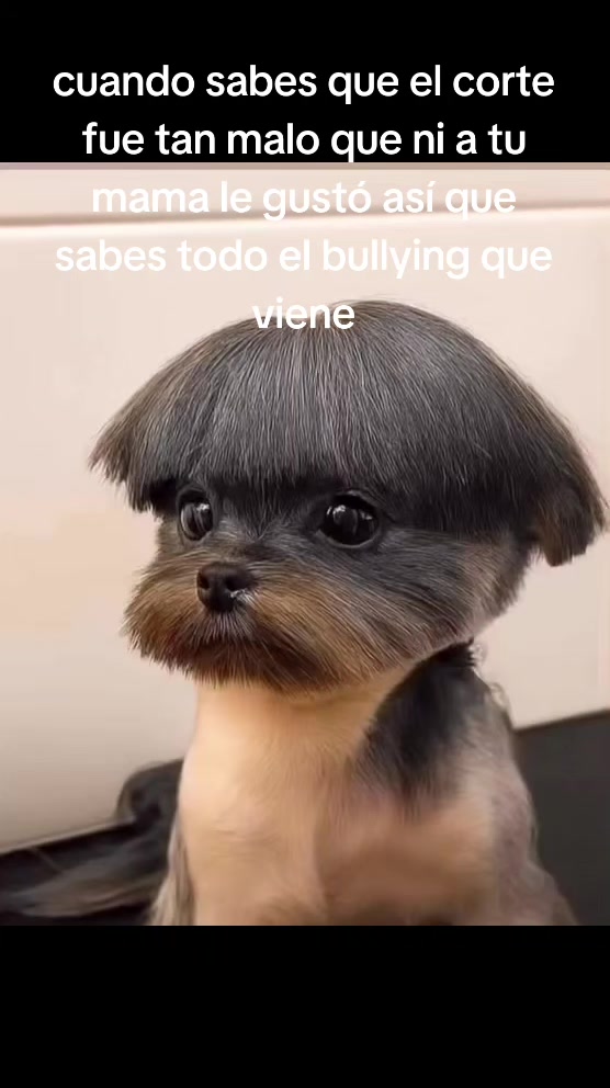 @Chris-pum