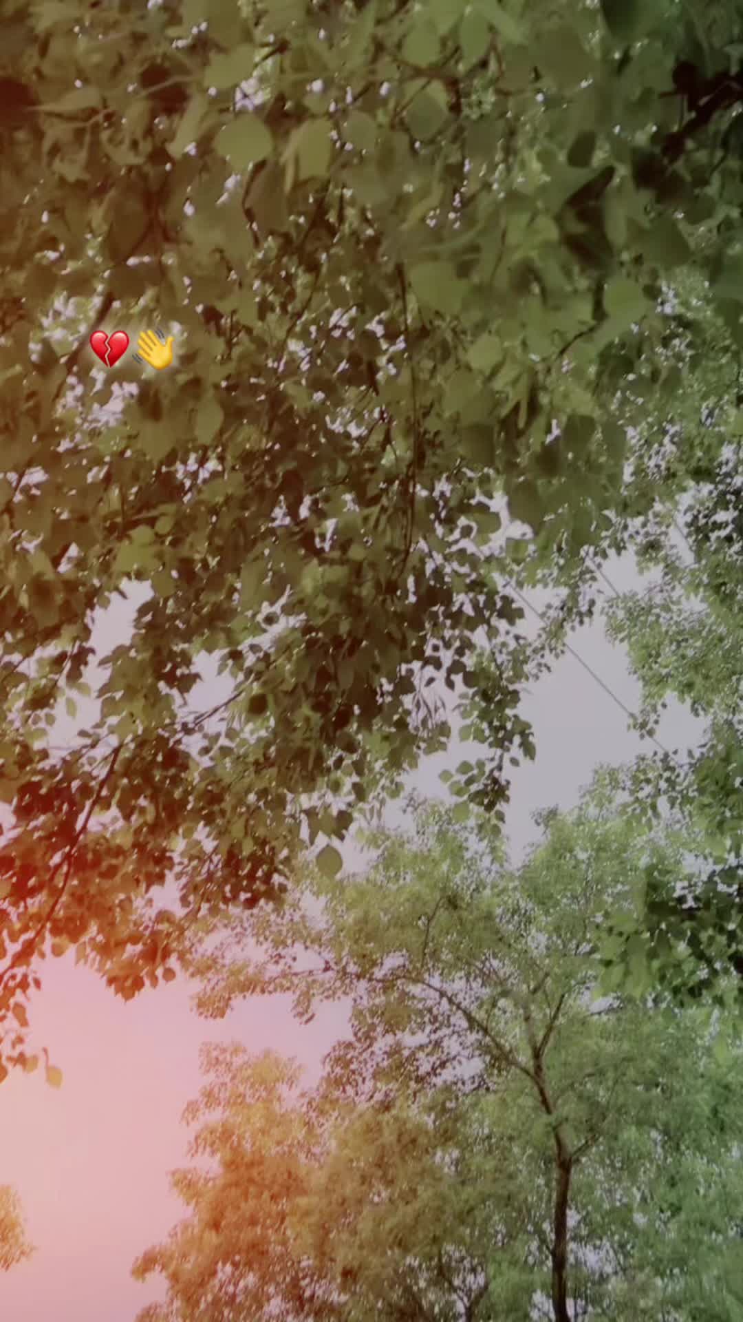 @SARHAD 👑313🥷 ✌️