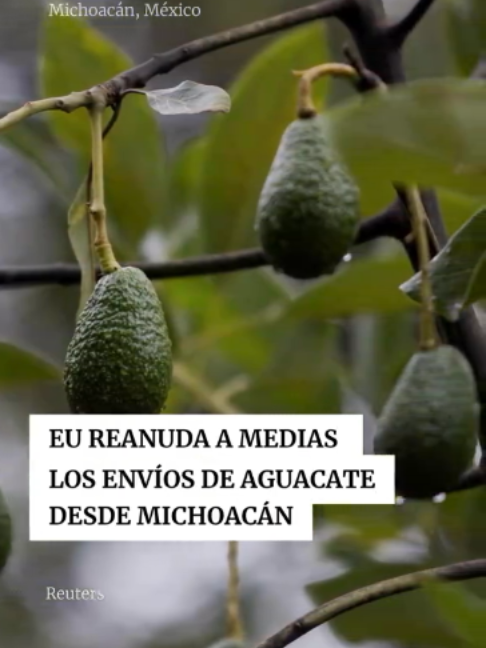 @Periódico Excélsior