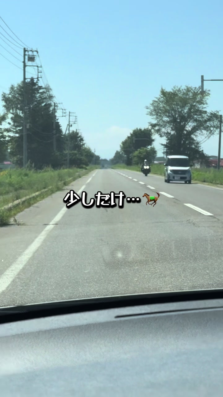 @にゃーにゃー♪🐟🪸