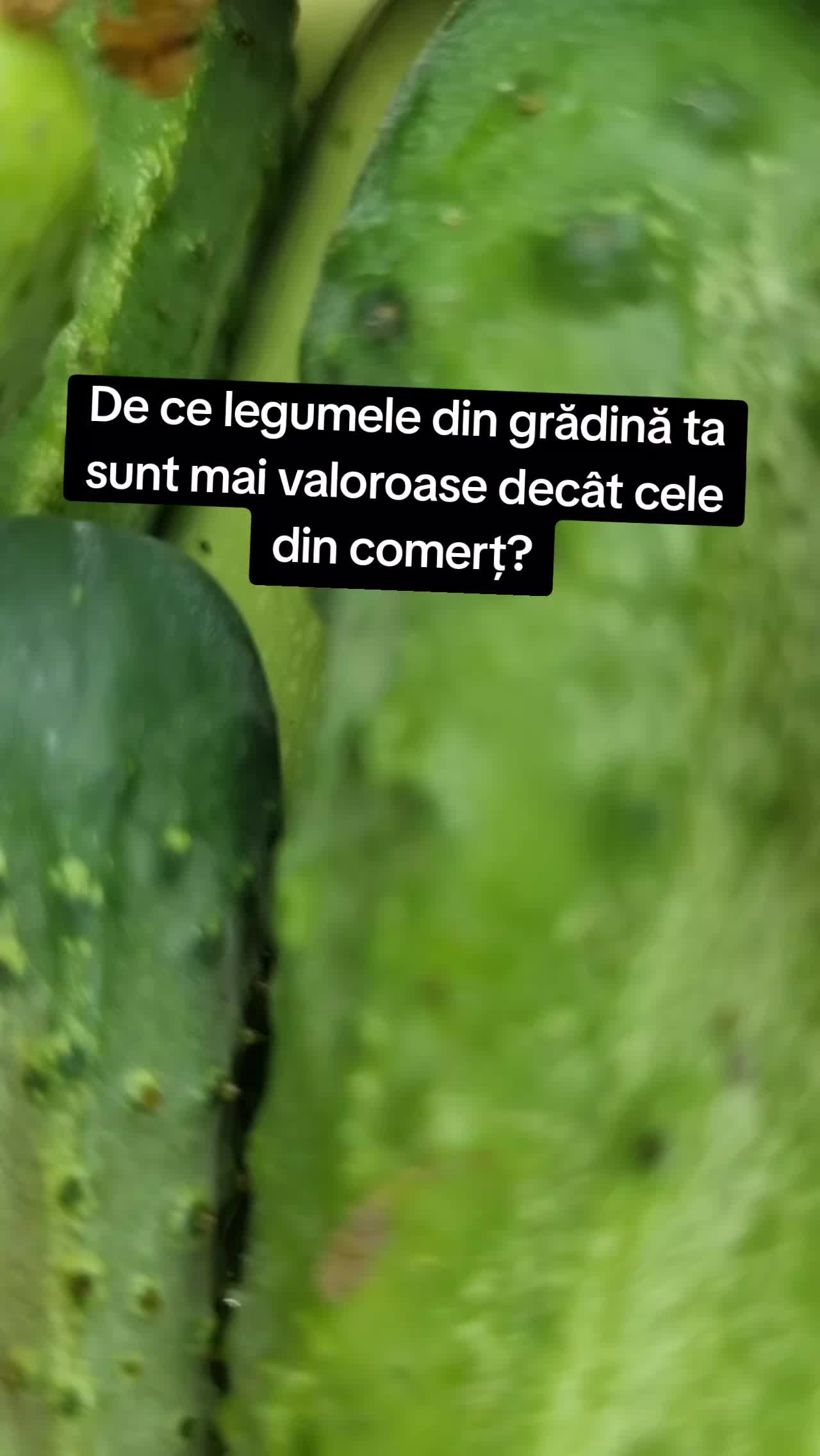 @🍎Din natură & Din tradiție