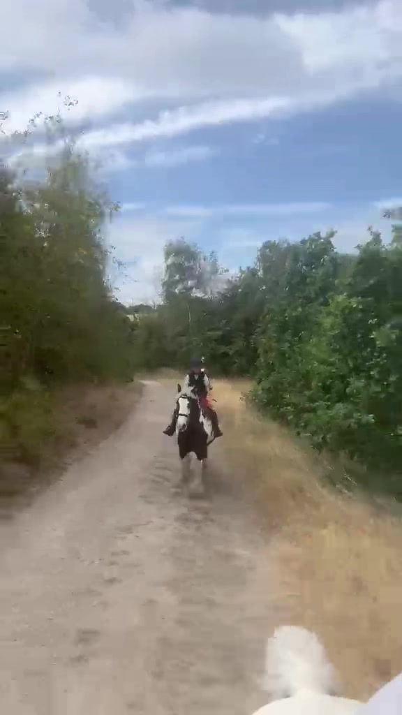 @LottiesHorseAdventures🦄🐴