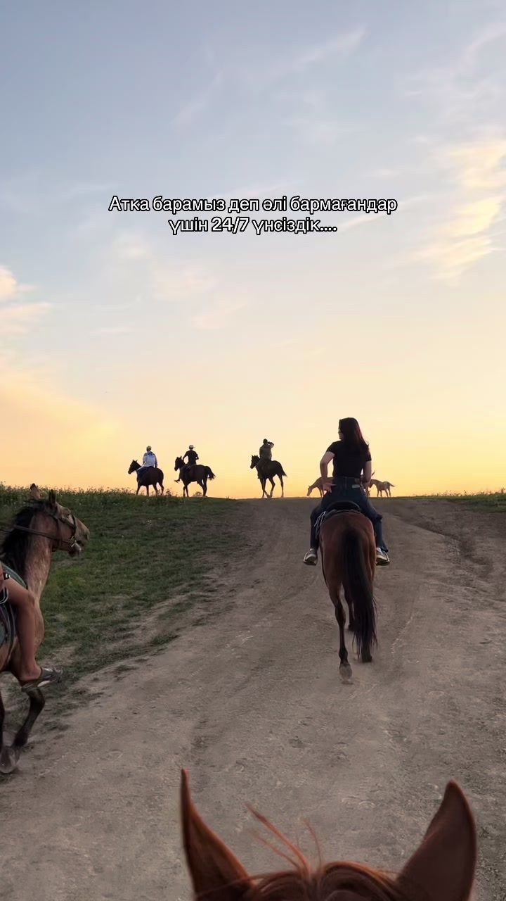 @akshatau_horses
