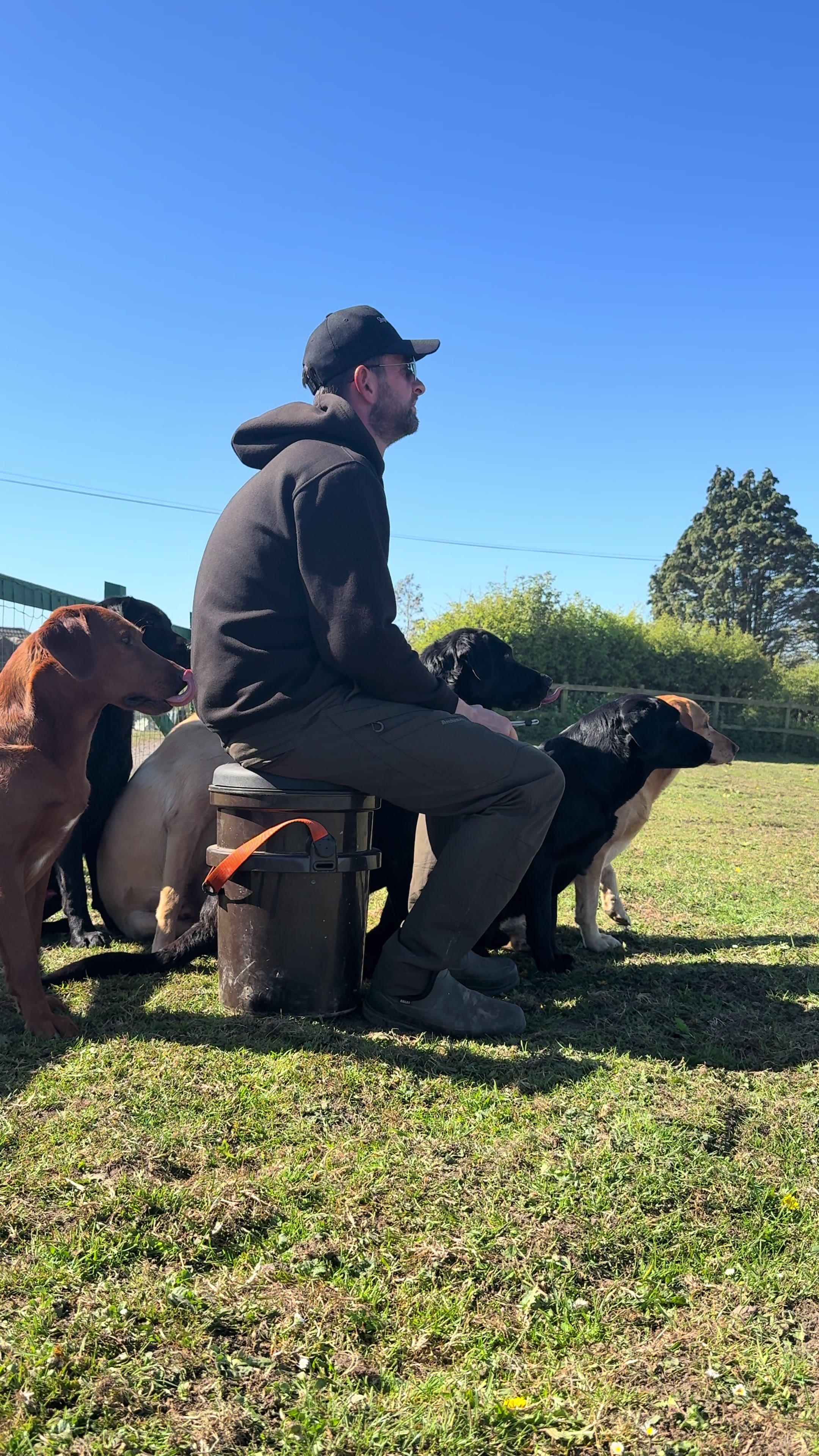 @slingleygundogs