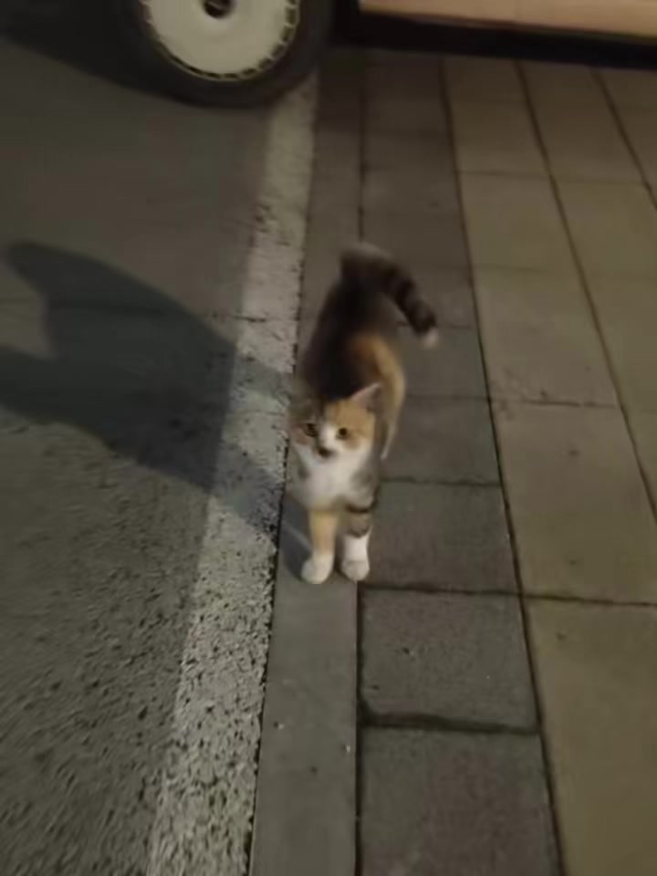 @bossyeuu