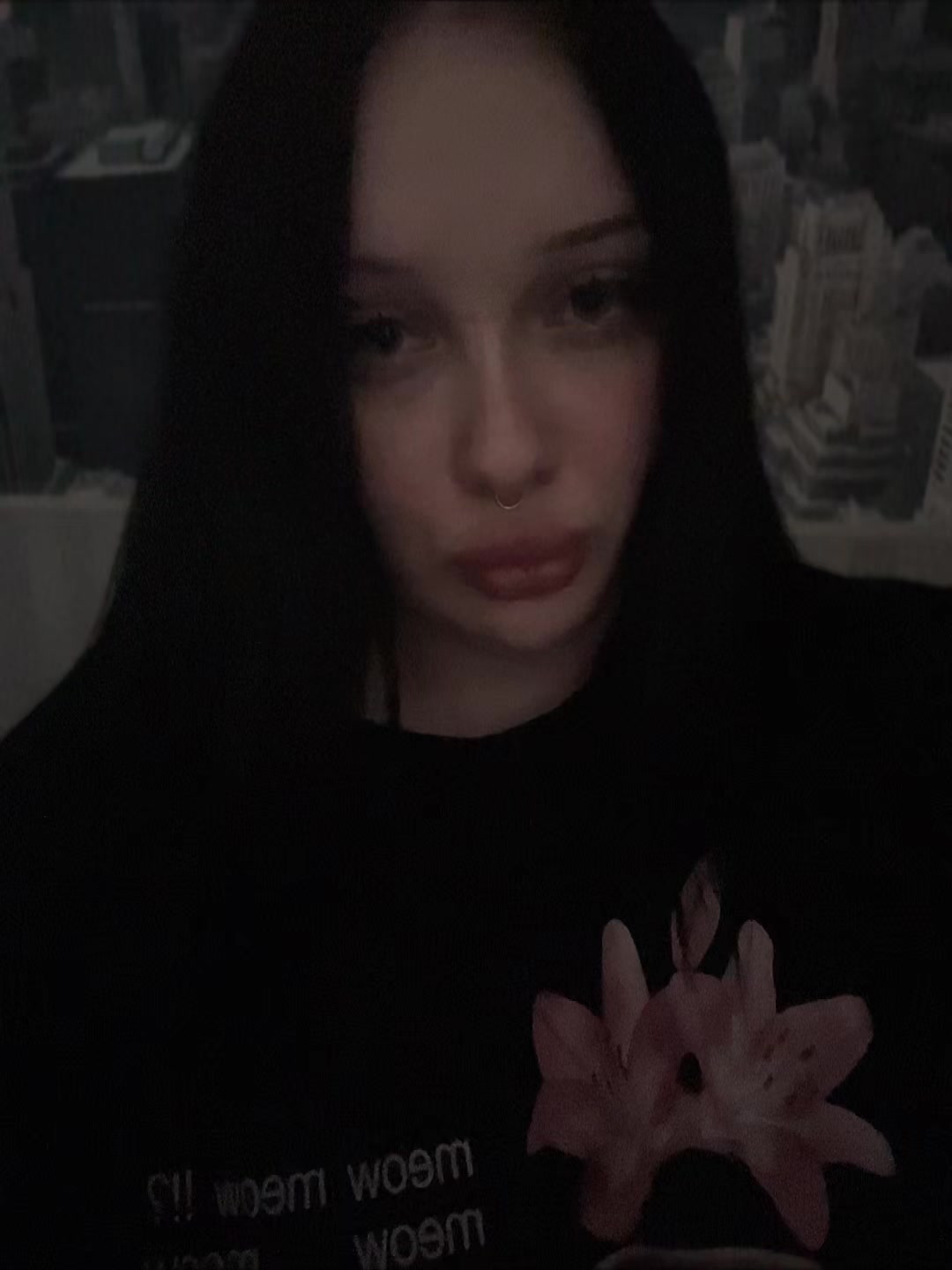@sestratrava