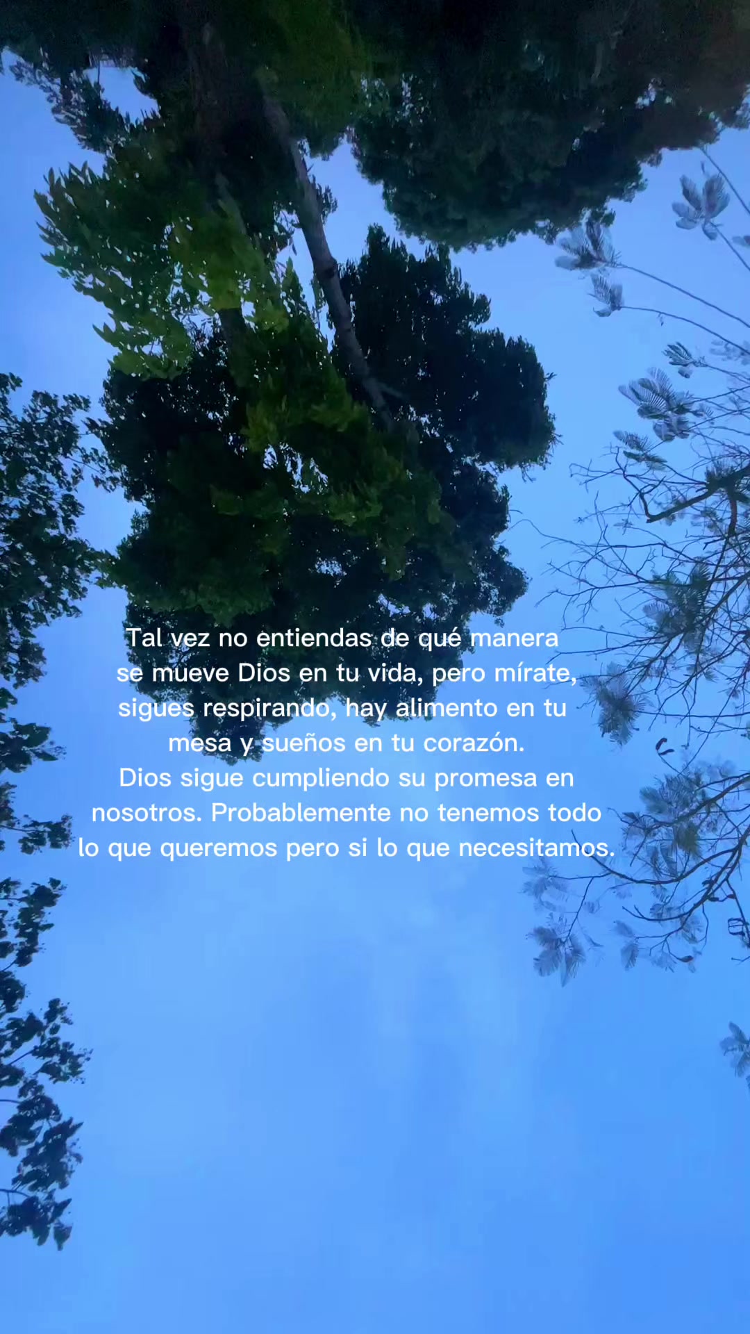 @Dian🍀✨