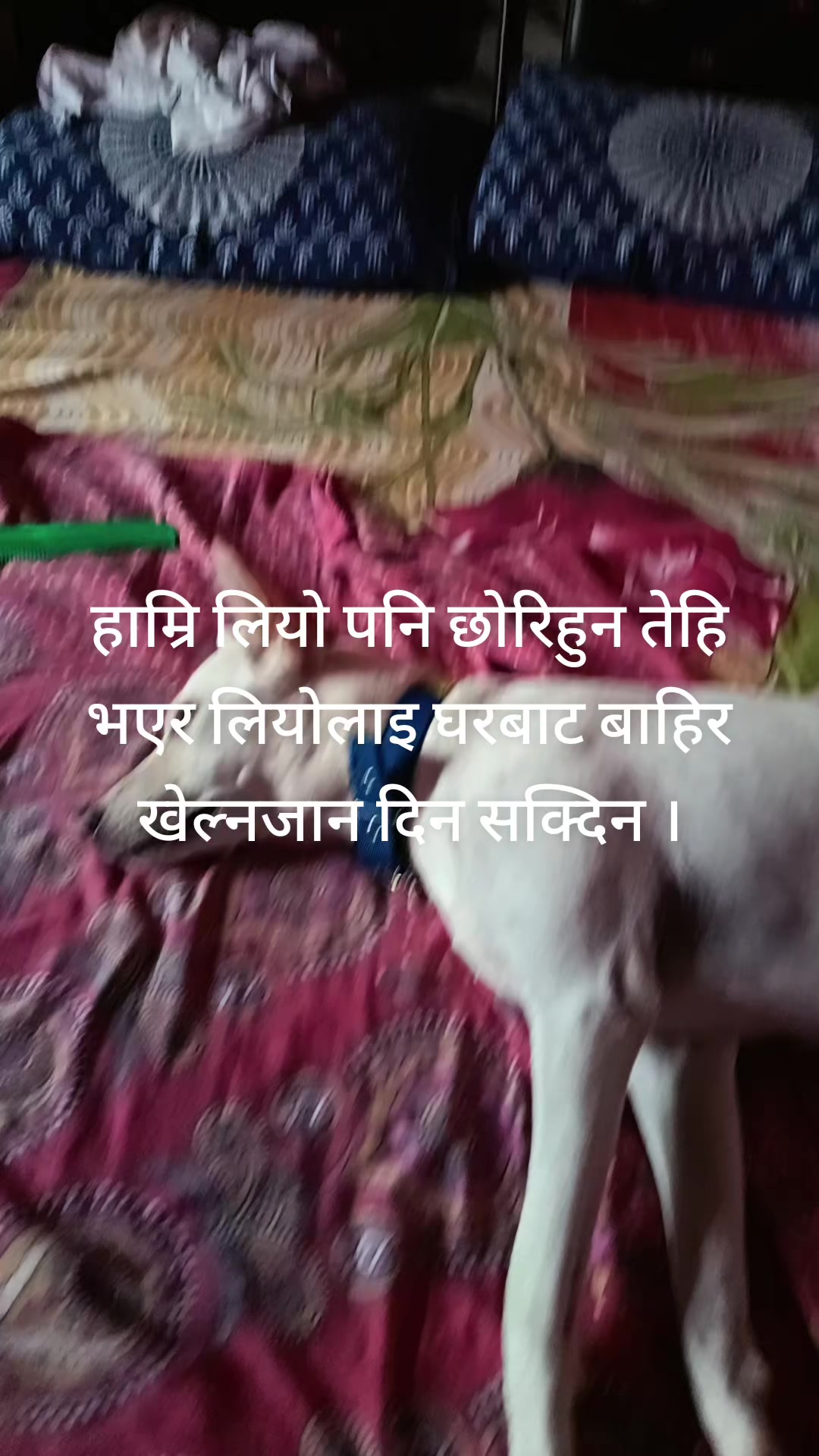 @Rupa bhandari