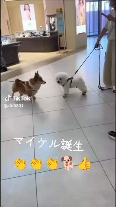 @ひろし❗️