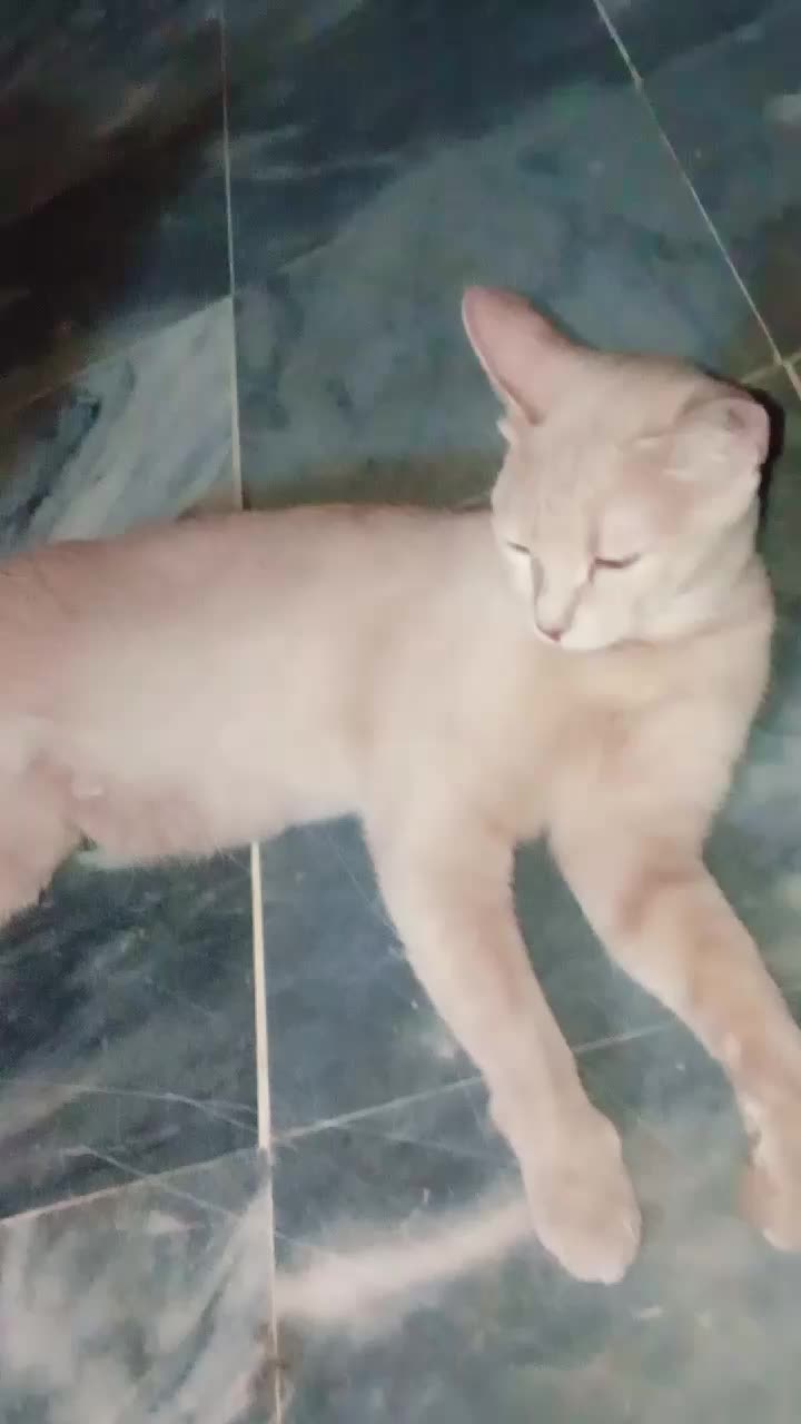 @cutecatlover8172