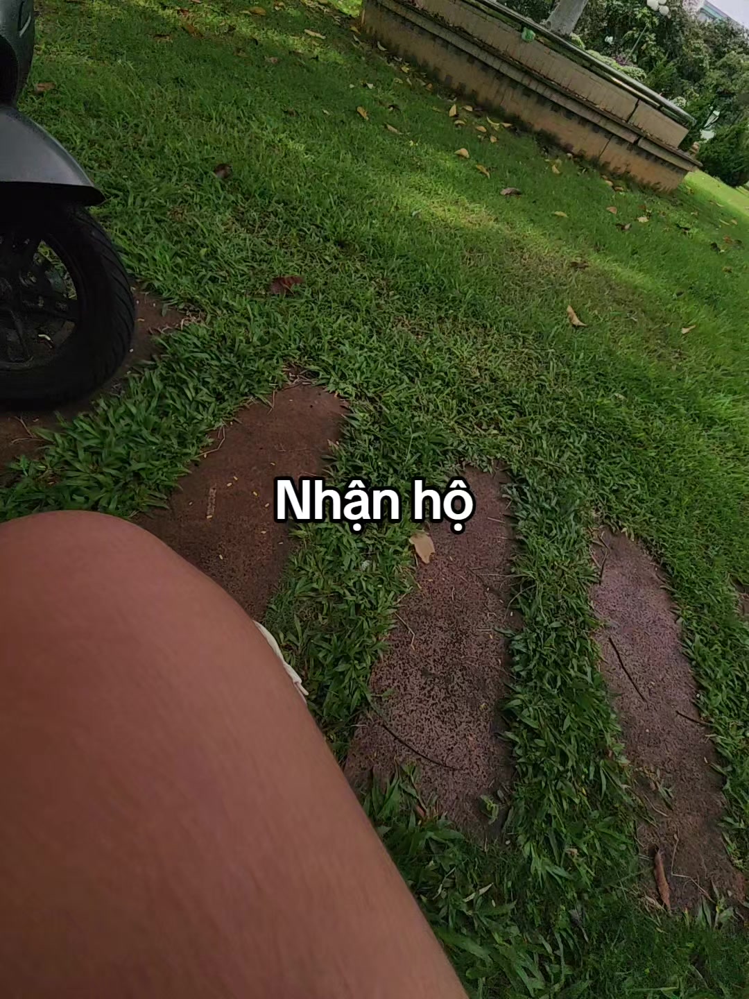 @Hộ