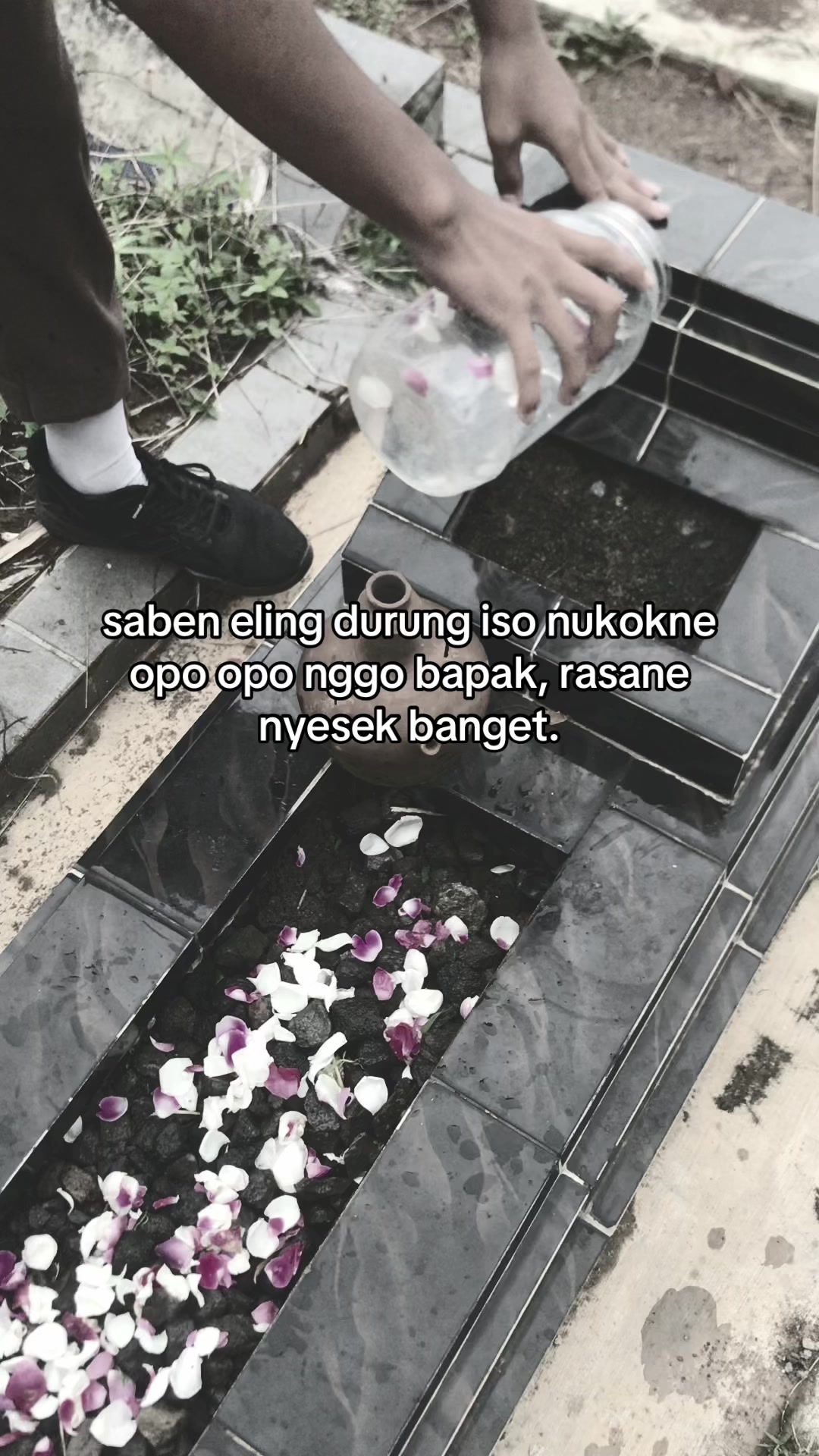 @alysa𐙚⋆.