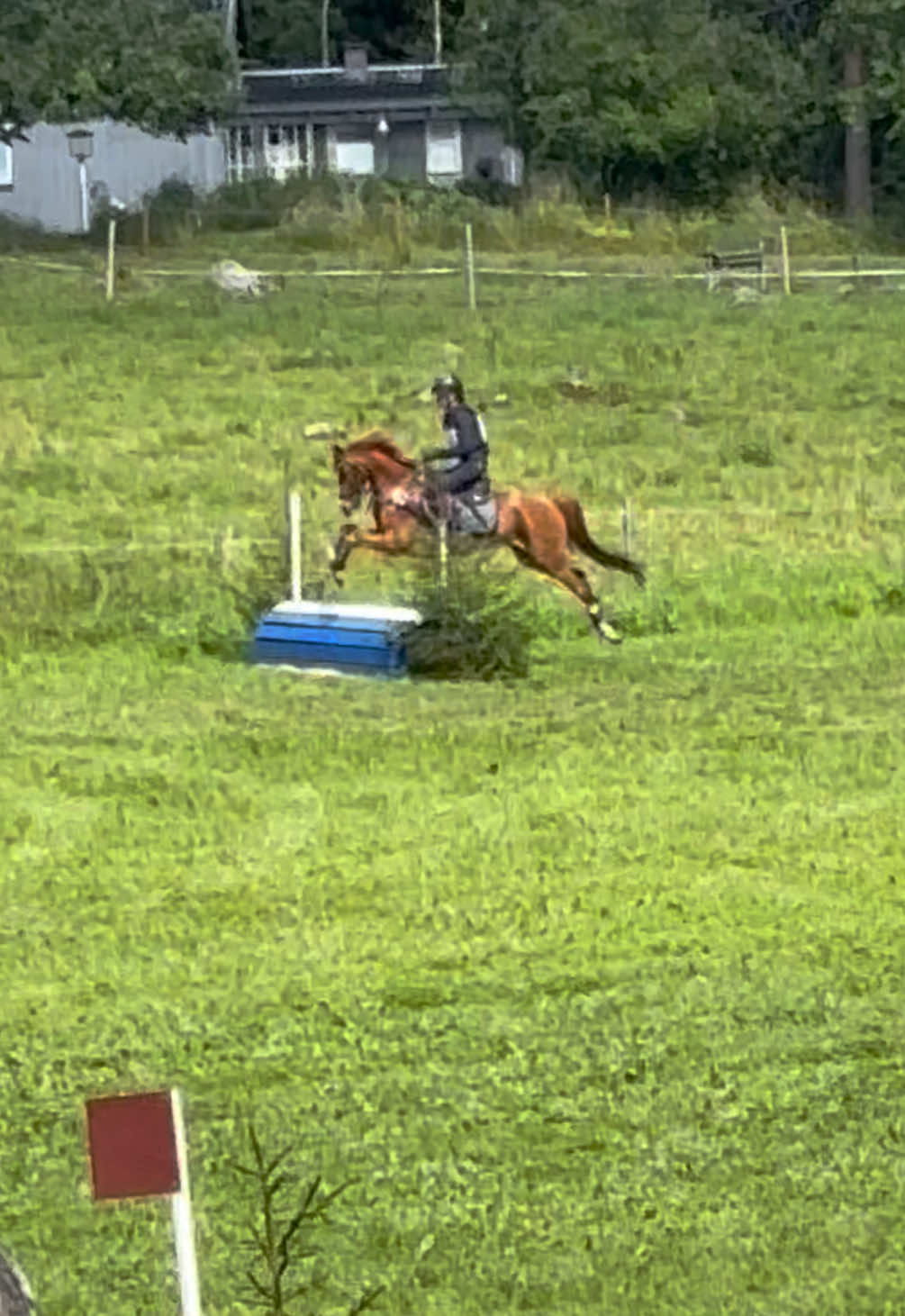 @Equestrian_tiiaa
