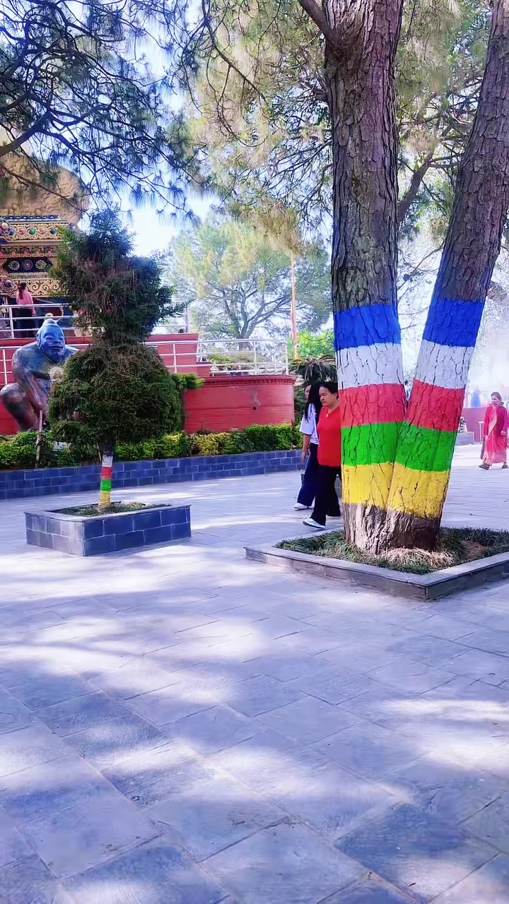 @Maya Tamang Dong