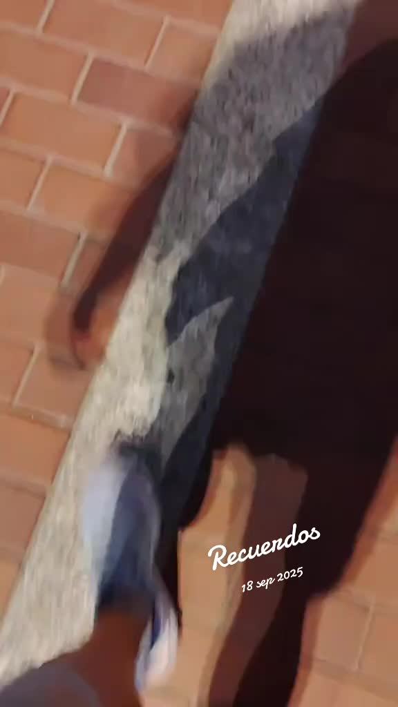 @Acayro
