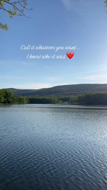 @cedarpineacres