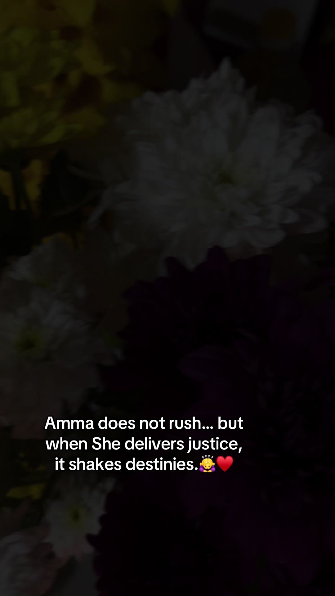 @❤️.
